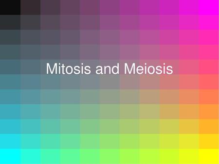 Mitosis and Meiosis.