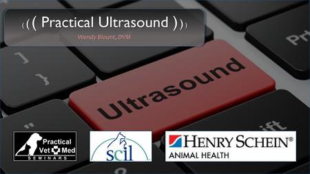 ( ( ( Practical Ultrasound ) ) )