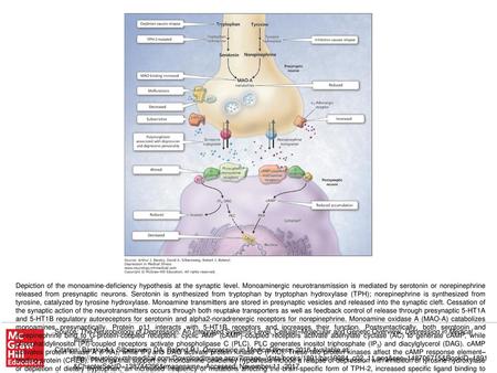 Depiction of the monoamine-deficiency hypothesis at the synaptic level