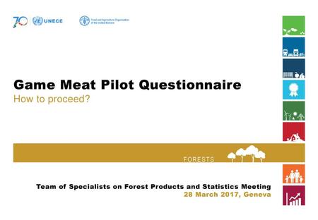 Game Meat Pilot Questionnaire