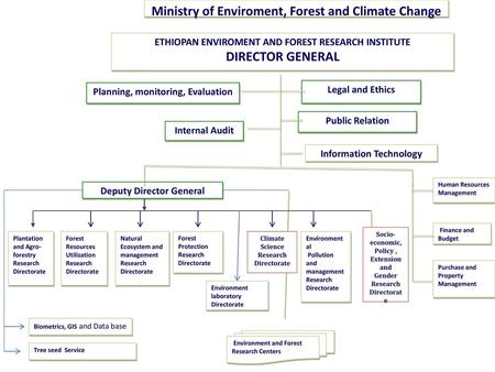 DIRECTOR GENERAL Ministry of Enviroment, Forest and Climate Change