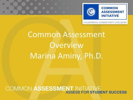 Common Assessment Overview Marina Aminy, Ph.D.