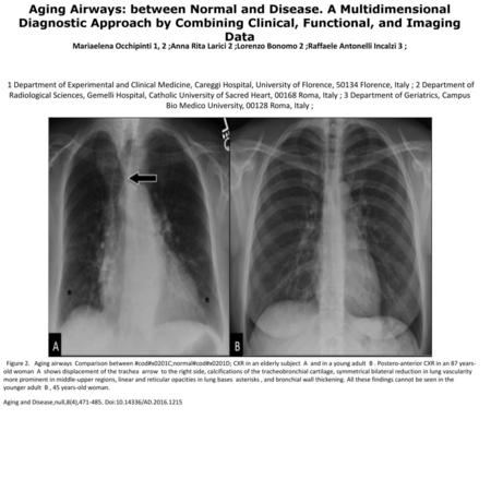 Aging Airways: between Normal and Disease