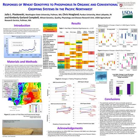 Responses of Wheat Genotypes to Phosphorus In Organic and Conventional Cropping Systems In the Pacific Northwest Julia L. Piaskowski, Washington State.