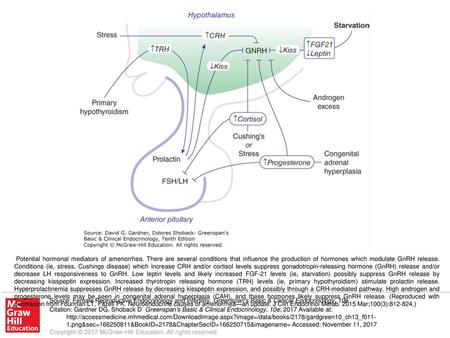 Potential hormonal mediators of amenorrhea