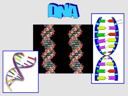 DNA.