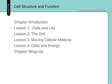 Cell Structure and Function