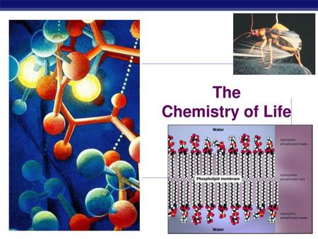 The Chemistry of Life 2009-2010.