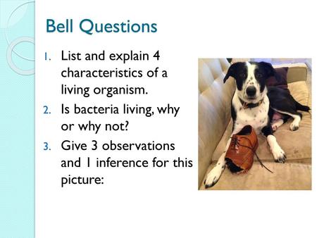 Bell Questions List and explain 4 characteristics of a living organism. Is bacteria living, why or why not? Give 3 observations and 1 inference for.