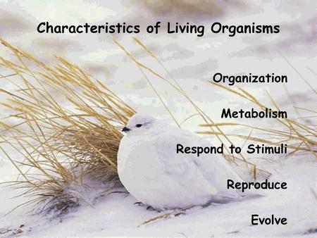 Characteristics of Living Organisms