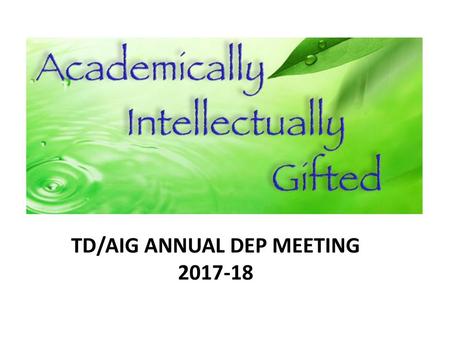 TD/AIG ANNUAL DEP MEETING