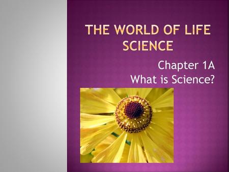 The World of Life Science