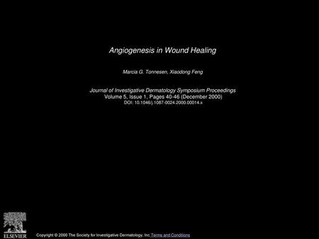 Angiogenesis in Wound Healing