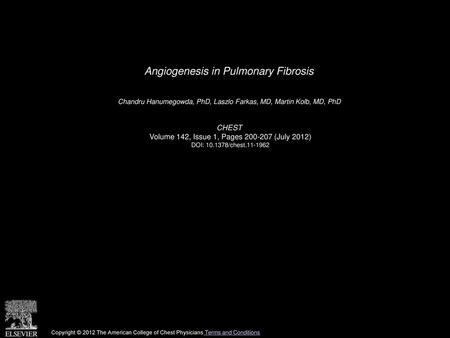 Angiogenesis in Pulmonary Fibrosis