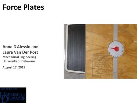 Force Plates Anna D’Alessio and Laura Van Der Post