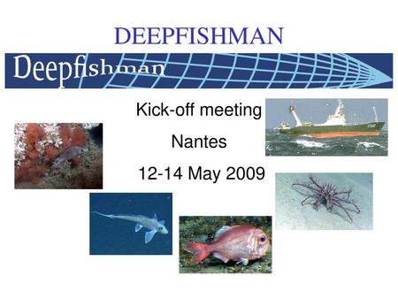 DEEPFISHMAN Kick-off meeting Nantes 12-14 May 2009.