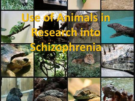 Use of Animals in Research into Schizophrenia