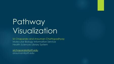 Pathway Visualization