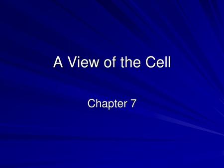 A View of the Cell Chapter 7.