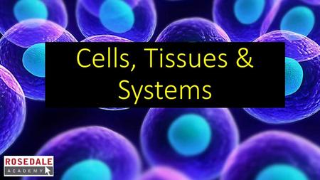 Cells, Tissues & Systems