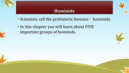 Hominids Scientists call the prehistoric humans - hominids.