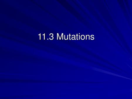 11.3 Mutations.