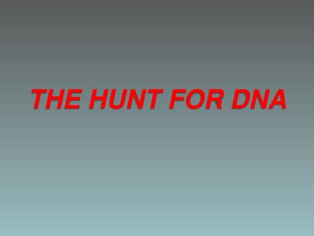 THE HUNT FOR DNA.