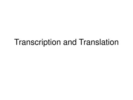 Transcription and Translation