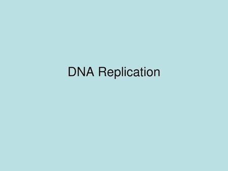 DNA Replication.