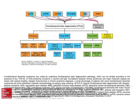 Frontotemporal dementia syndromes are united by underlying frontotemporal lobar degeneration pathology, which can be divided according to the presence.