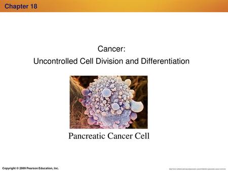 Uncontrolled Cell Division and Differentiation