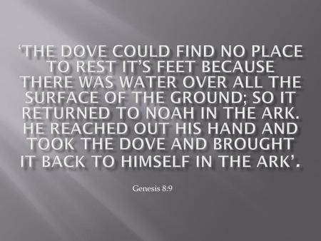 ‘The dove could find no place to rest it’s feet because there was water over all the surface of the ground; so it returned to Noah in the ark. He reached.