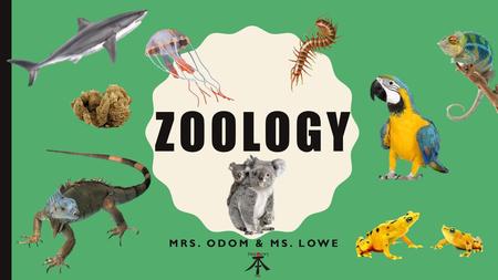 Zoology Mrs. Odom & Ms. Lowe.