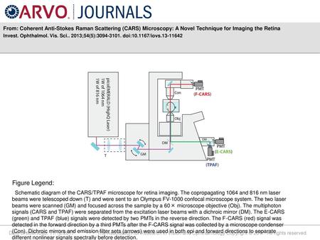 From: Coherent Anti-Stokes Raman Scattering (CARS) Microscopy: A Novel Technique for Imaging the Retina Invest. Ophthalmol. Vis. Sci.. 2013;54(5):3094-3101.