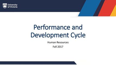 Performance and Development Cycle