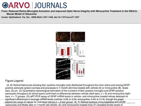 From: Reduced Retina Microglial Activation and Improved Optic Nerve Integrity with Minocycline Treatment in the DBA/2J Mouse Model of Glaucoma Invest.