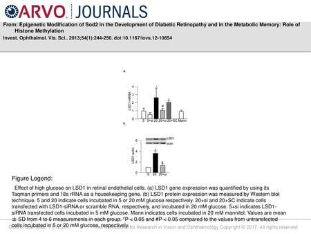 From: Epigenetic Modification of Sod2 in the Development of Diabetic Retinopathy and in the Metabolic Memory: Role of Histone Methylation Invest. Ophthalmol.