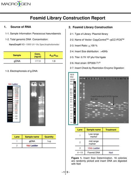 Fosmid Library Construction Report