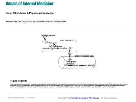 From: Nitric Oxide: A Physiologic Messenger