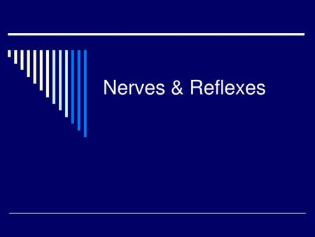 Nerves & Reflexes.