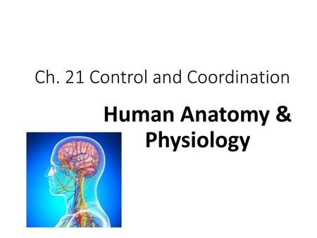 Ch. 21 Control and Coordination