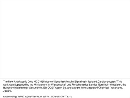 Figure 7. Cycloheximide blocks the potentiation of insulin action by MCC-555. Cardiomyocytes were subjected to the indicated incubation conditions using.