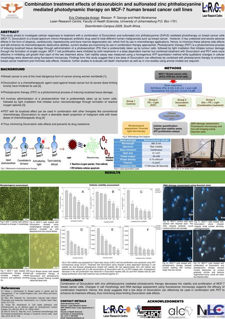 mediated photodynamic therapy on MCF-7 human breast cancer cell lines