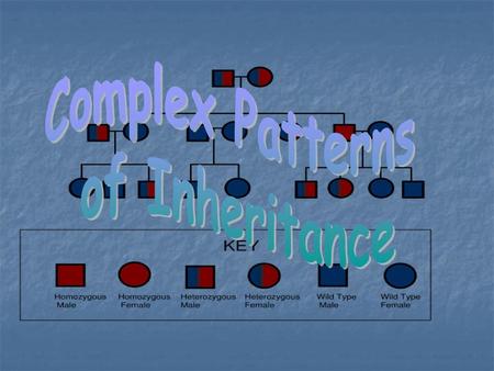 Complex Patterns of Inheritance.