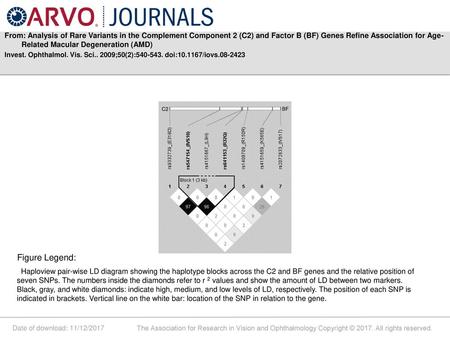 From: Analysis of Rare Variants in the Complement Component 2 (C2) and Factor B (BF) Genes Refine Association for Age-Related Macular Degeneration (AMD)