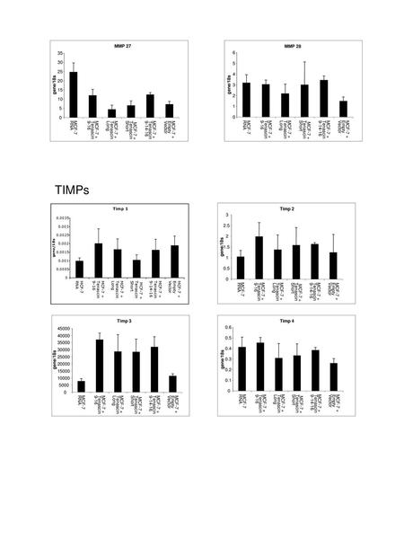 TIMPs MMP MCF-7 RNA MCF-7 + Tenascin 9-16 Long