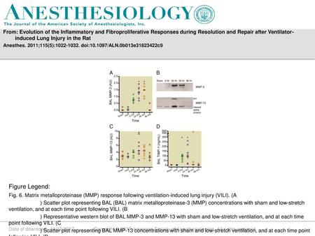 From: Evolution of the Inflammatory and Fibroproliferative Responses during Resolution and Repair after Ventilator-induced Lung Injury in the Rat Anesthes.