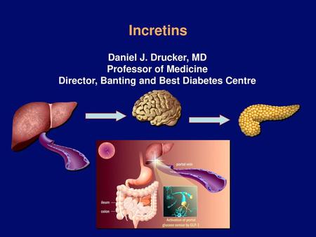 Incretins Daniel J. Drucker, MD Professor of Medicine Director, Banting and Best Diabetes Centre.