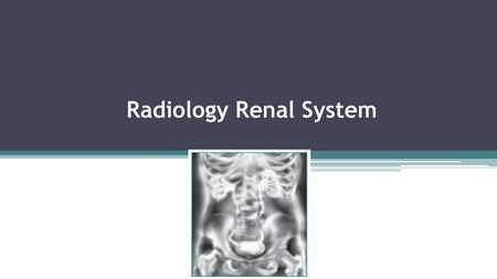 Radiology Renal System