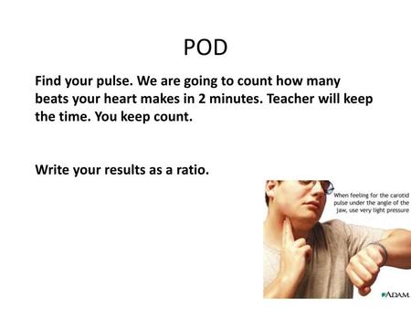 POD Find your pulse. We are going to count how many beats your heart makes in 2 minutes. Teacher will keep the time. You keep count. Write your results.